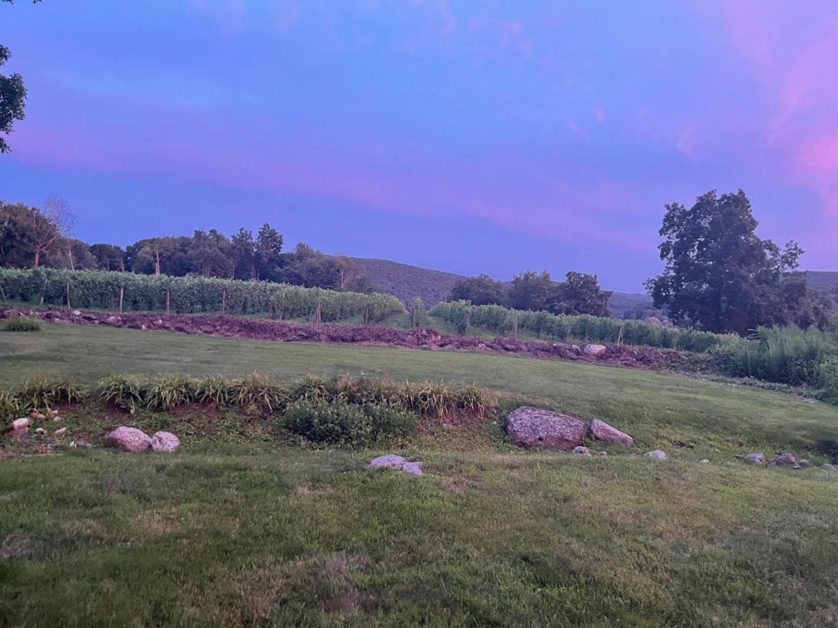 Country Lake House Nestled Between Vineyards Warren Εξωτερικό φωτογραφία